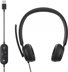 תמונה של אוזניות + מיקרופון Microsoft Modern USB Headset